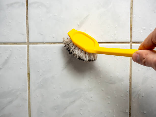 Best Residential Mold Removal  in Lochearn, MD