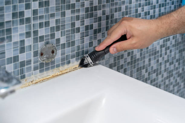 Best Emergency Mold Removal  in Lochearn, MD