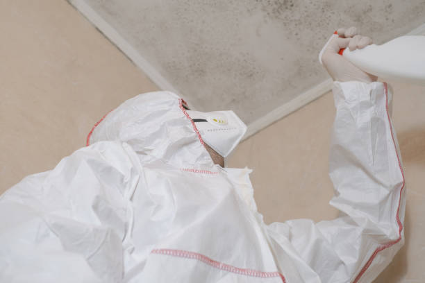 Best Crawl Space Mold Removal  in Lochearn, MD