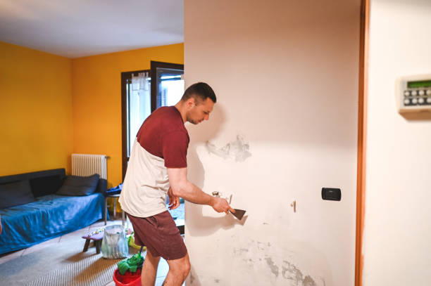 Best Mold Removal Company Near Me  in Lochearn, MD